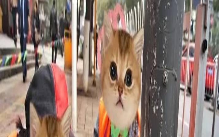 男人在你眼里是什么样的人（女生说快餐是什么意思）