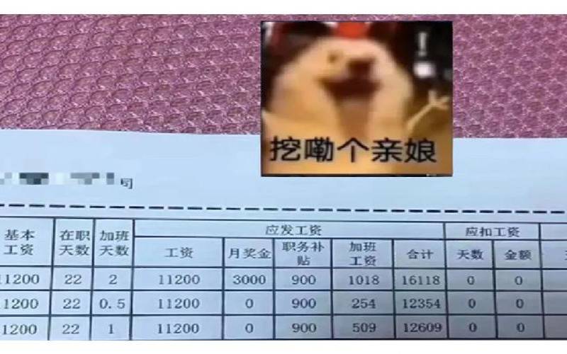 测试工资水平（10万测试拜金女一天）