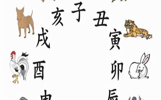 12生肖天干地支合配法(十二生肖与天干地支的关系)
