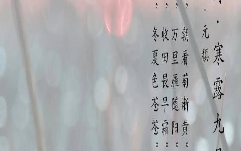 2020年寒露节气可以下葬吗（寒露节气下葬好不好）