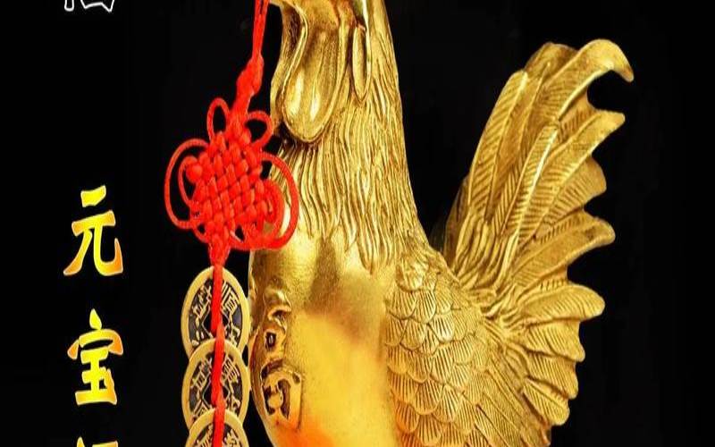 属鸡的人适合生什么宝宝（金鸡和什么配合最好）