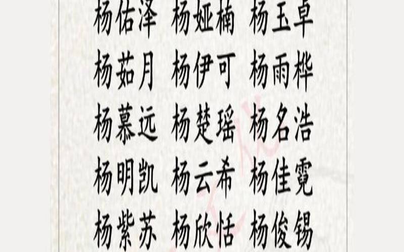 姓胡宝宝取名大全男免费（杨姓男孩取名）