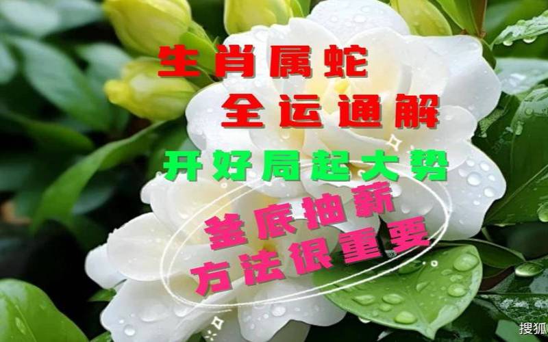 属蛇人2018年吉凶（生肖蛇一般哪一年走大运）