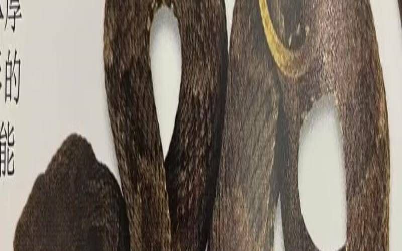 梦到蛇会怀孕是真的假的（梦到蛇就会怀孕是真的吗）