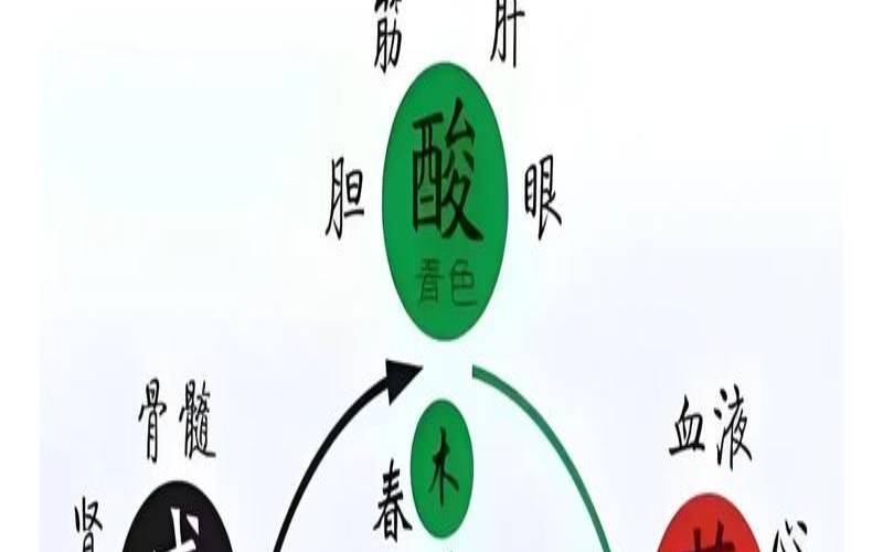 五行与命运的关系（五行与人体脏腑的关系）