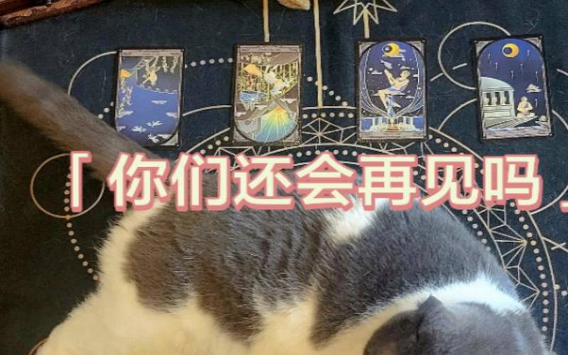 塔罗占卜我和他还能再见吗（塔罗占卜准不准）