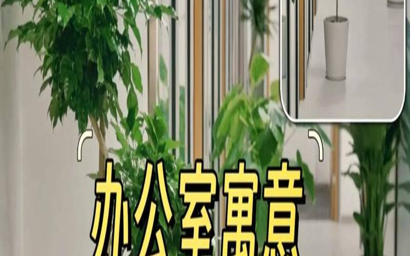 办公室养花风水办公风水(办公室养花大全配图)