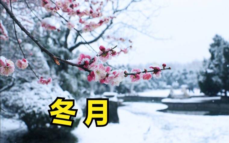 2020年十一月二十二日出生（农历11月是冬月还是腊月）