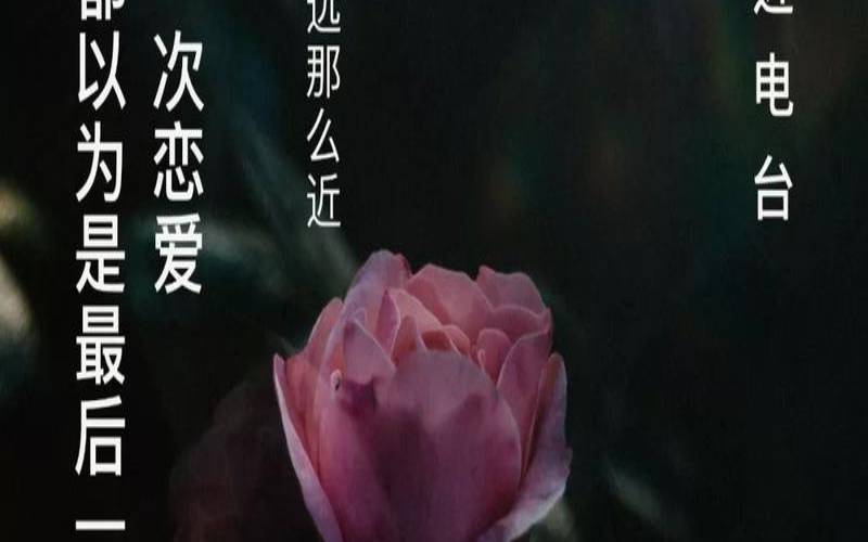 当下的会是你谈的最后一次恋爱吗（刚开始就结束的恋情）
