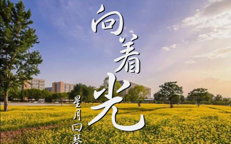 含义是光明和希望的字（寓意阳光与希望的字）