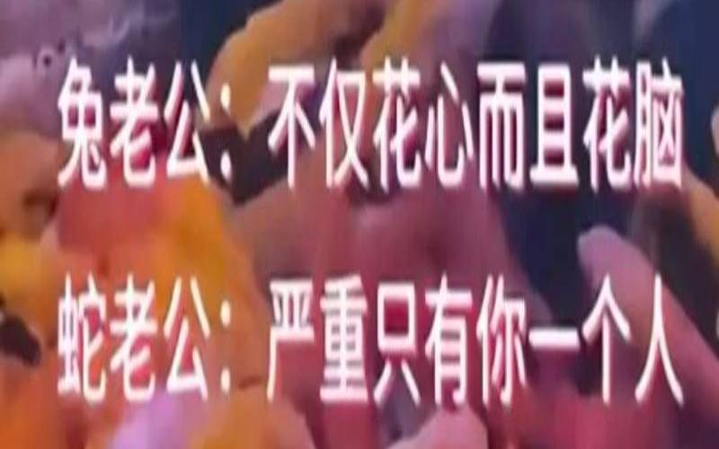 属鸡35岁后走大运（鸡命中注定的夫妻是什么）