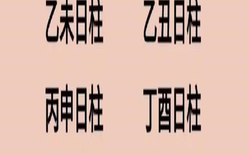 丁酉日出生的八字案例（己亥日生人的富贵八字）