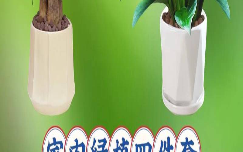 办公室摆放什么植物风水好办公风水(办公室一般摆放什么植物好)