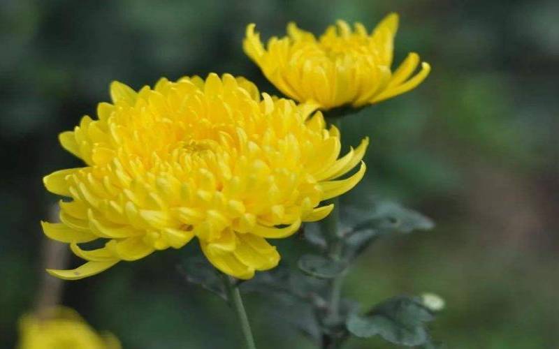 寒衣节出生的人前世是什么（下雨出生的是天胎吗）