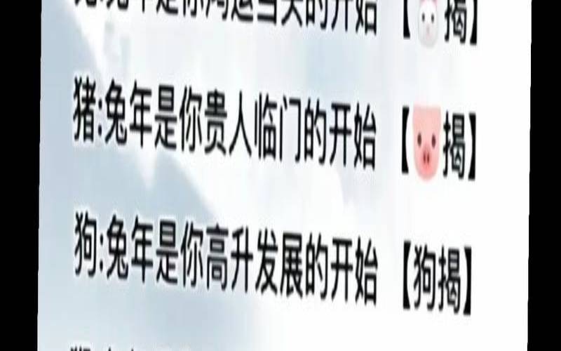 12生肖2023年运程(2023年生肖鸡运势详解)