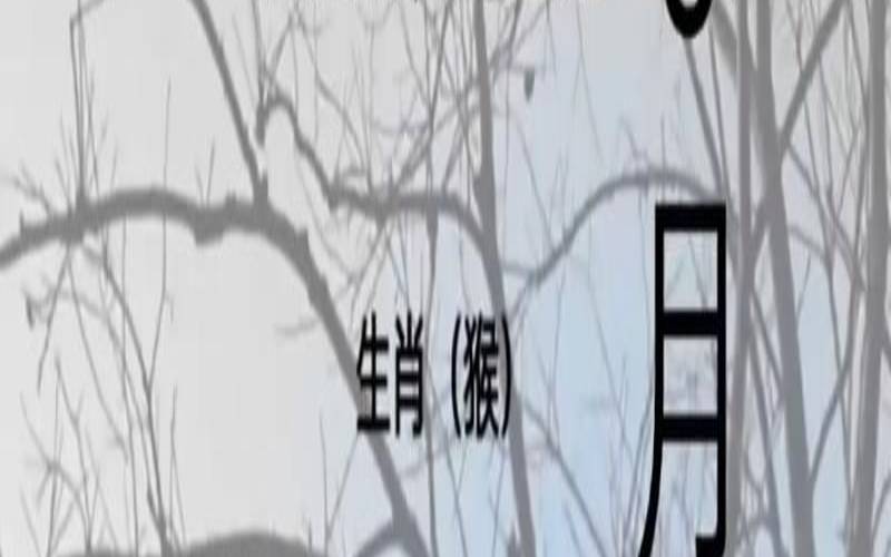 十二月桃花旺的生肖（今年桃花运最好的5个生肖）