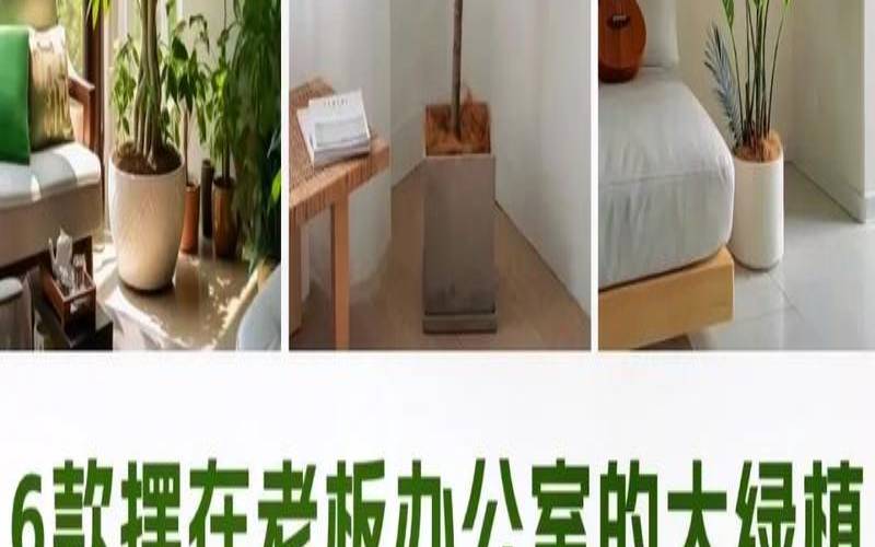 办公室风水轮流转摆饰（办公室桌摆什么能转运）