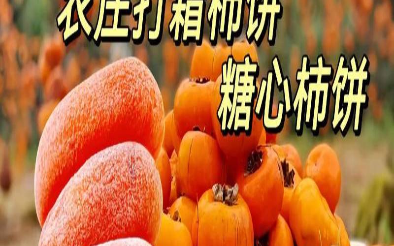 霜降前的柿子为什么不能吃（霜降柿饼功效）