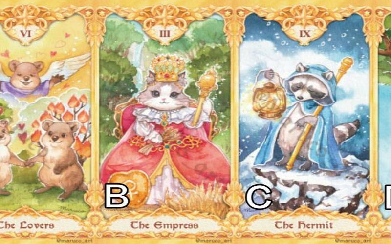 塔罗占卜你哪方面会比别人幸运（塔罗测你在哪方面能力突出）