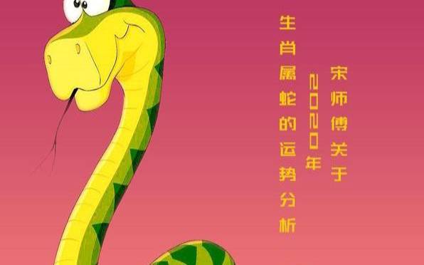 看看65年属蛇人运气怎么样（65年的苦命蛇）