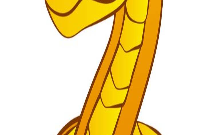 中年以后翻身的生肖（“最不显老”的4生肖女）