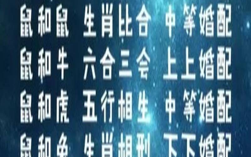 属鼠人和谁一起暴富（属鼠人和谁一起配最佳）