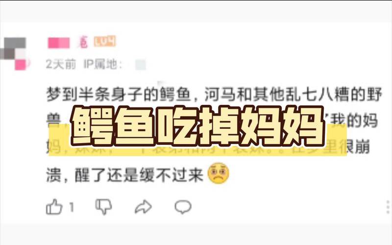 怀孕梦见鳄鱼（怀孕梦见鳄鱼是男孩女孩）