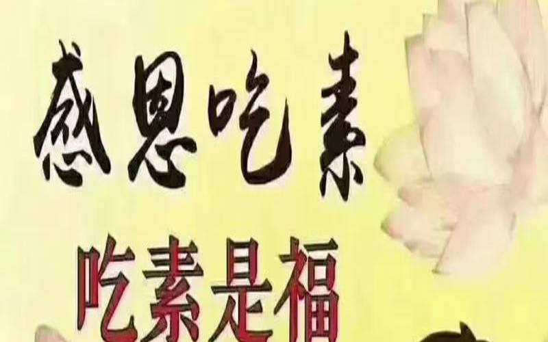 初一、十五吃素（温柔以待吃素）