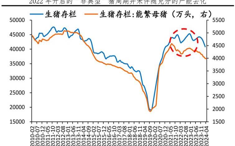 属猪的人2018年的财运（2018年猪价走势曲线图）