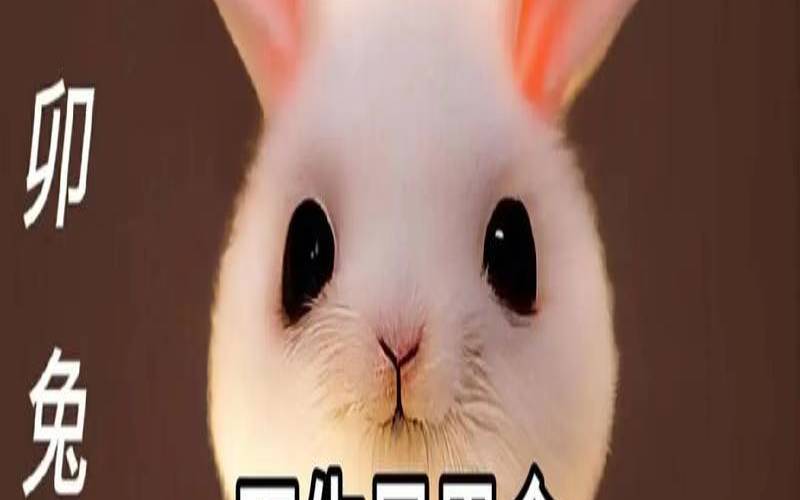 63年属兔57岁寿命有多长（63年属兔一生大劫年）