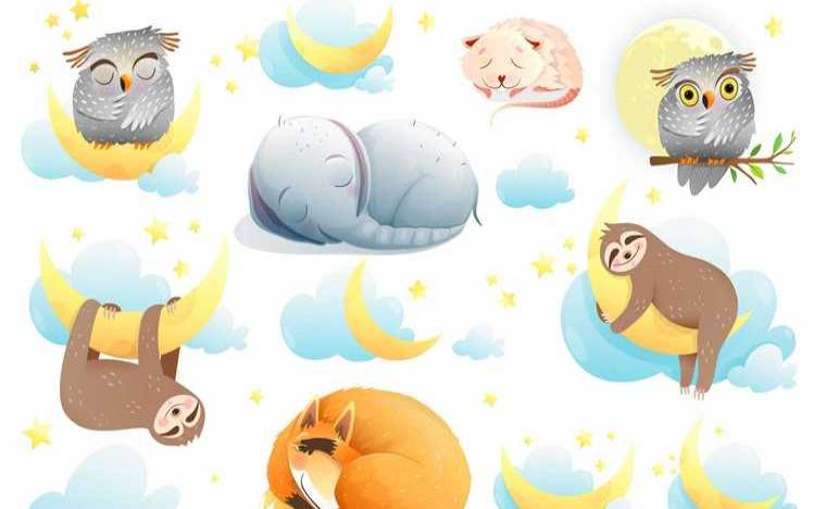 女人梦见大黄狗可怕（梦见一只大黄狗很友好）