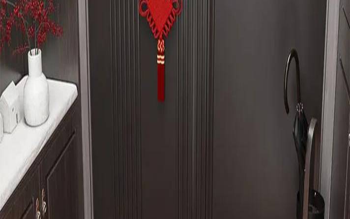 入户门垫颜色与风水和作用(进户门地垫最吉利的图案)