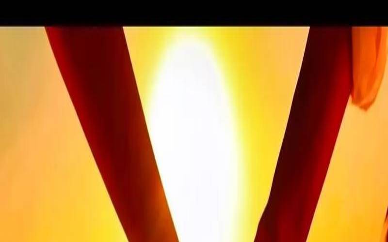 测试会有几个男人爱你(男人需要陪伴吗)