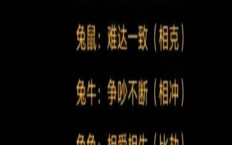 炒指什么生肖(炒指什么生肖)