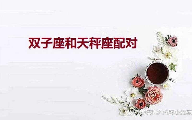 双子和天秤座的星座匹配度（天秤和射手配对）