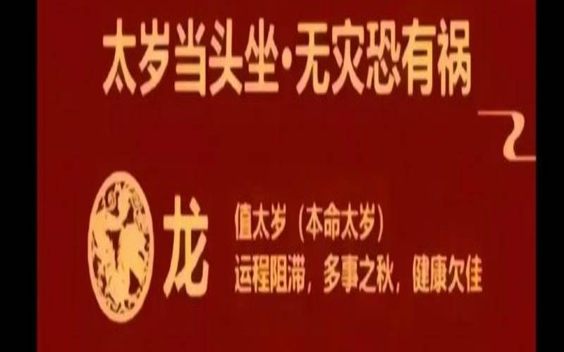 生肖龙2024年(属龙的2020年犯太岁吗)