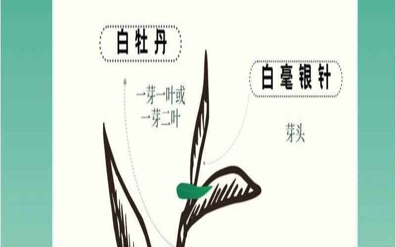 珅字取名男孩有寓意(珅字的男孩名字)