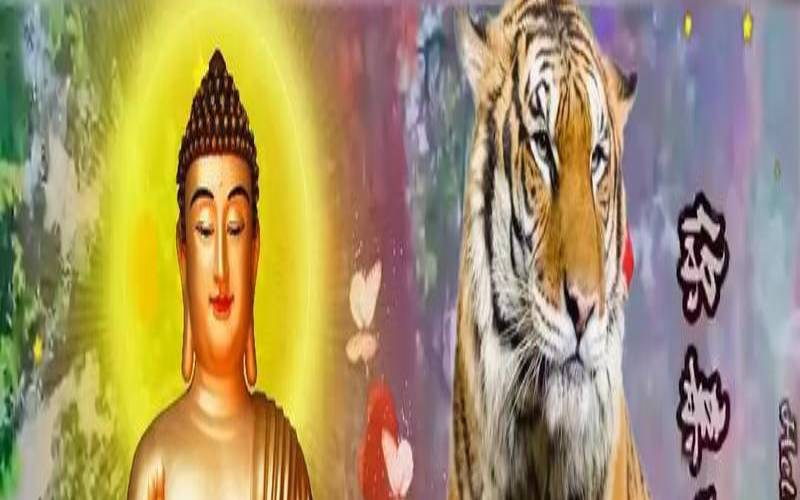 2022年几月虎一等命有福气(2022几月的虎命运最好)