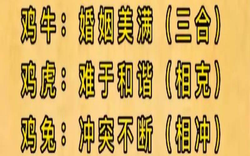 生肖鸡和什么生肖配姻缘(生肖鸡和什么生肖婚配好)