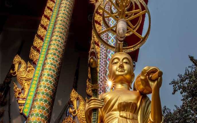 童子命类型分类