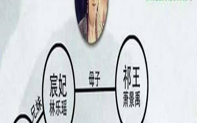 琅琊榜谁和谁一对（琅琊榜亲戚关系图）