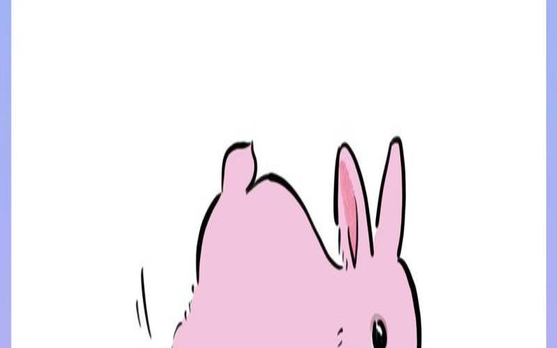 梦见兔子是仙家在暗示什么（男人梦见兔子会发财）