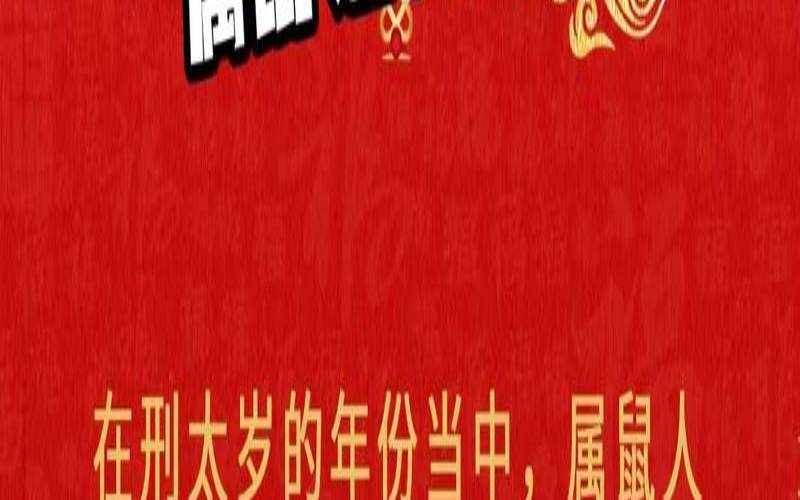 属鼠人2023年全年运势详解（属鼠人养狗好不好）