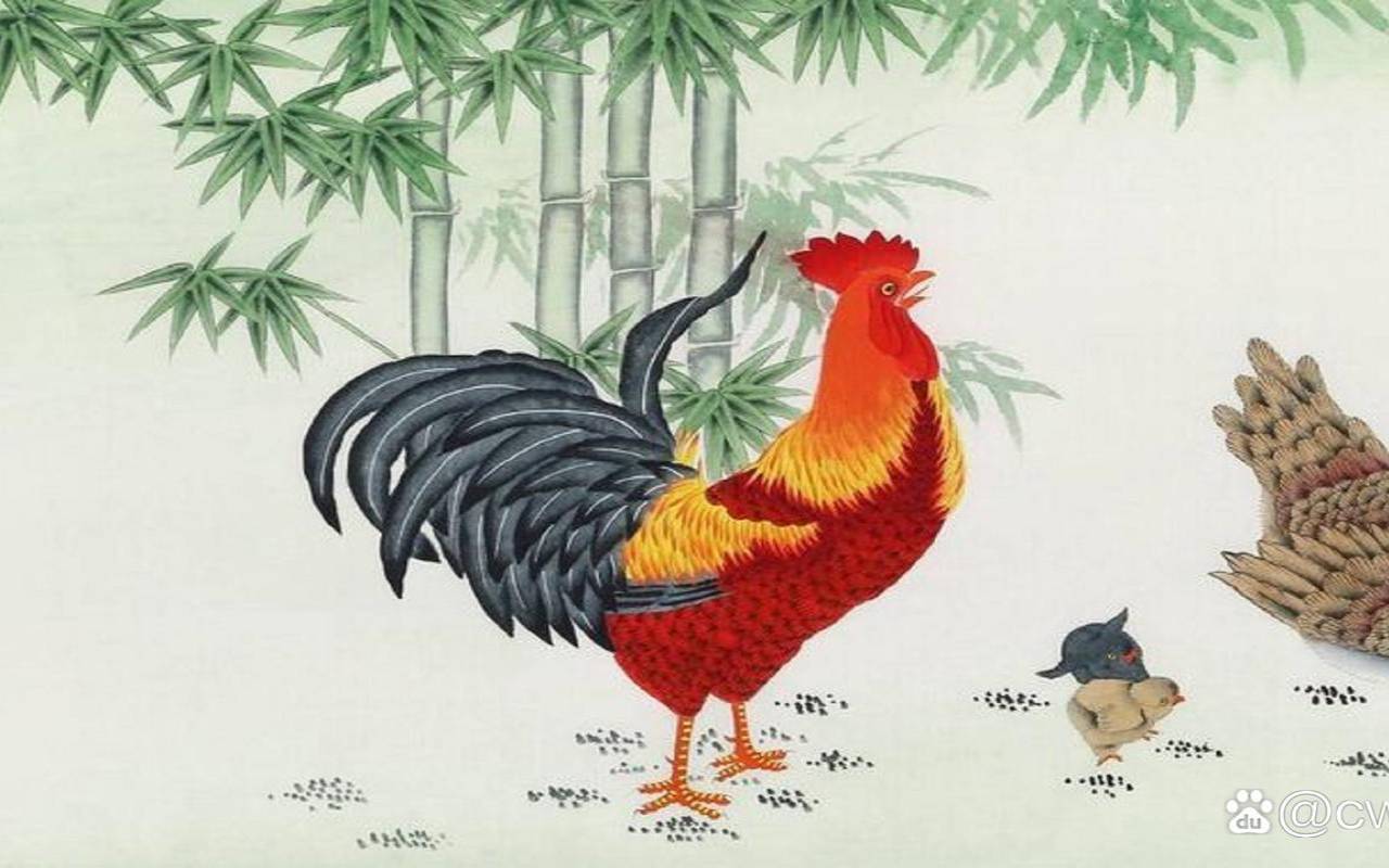 属虎人2018年每月运势如何（2016年是鸡年吗）