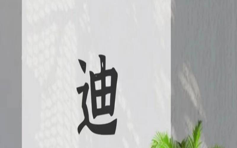 迪字取名男孩名字大全（带迪字好听的网名）