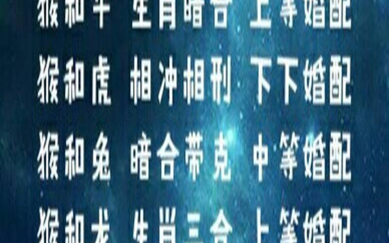 2004属猴配什么属相最好（2004年的男猴配什么最好）