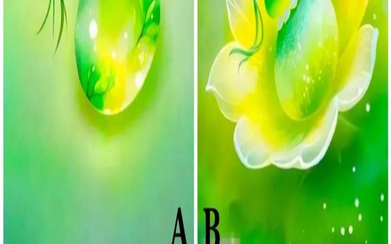 运气测试（测上天赐予你的好运）