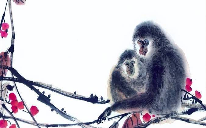 属猴人在寒露出生怎么样（属猴的人冬天出生好吗）