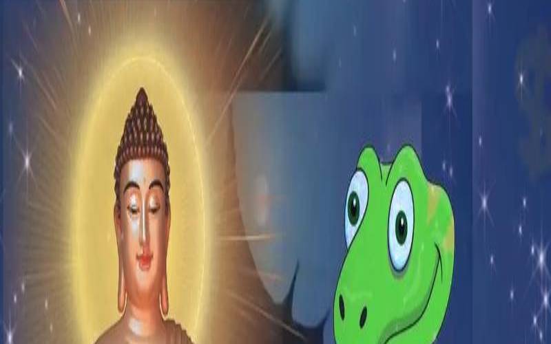 77年属蛇48岁大劫（1977年9月20日的命运）