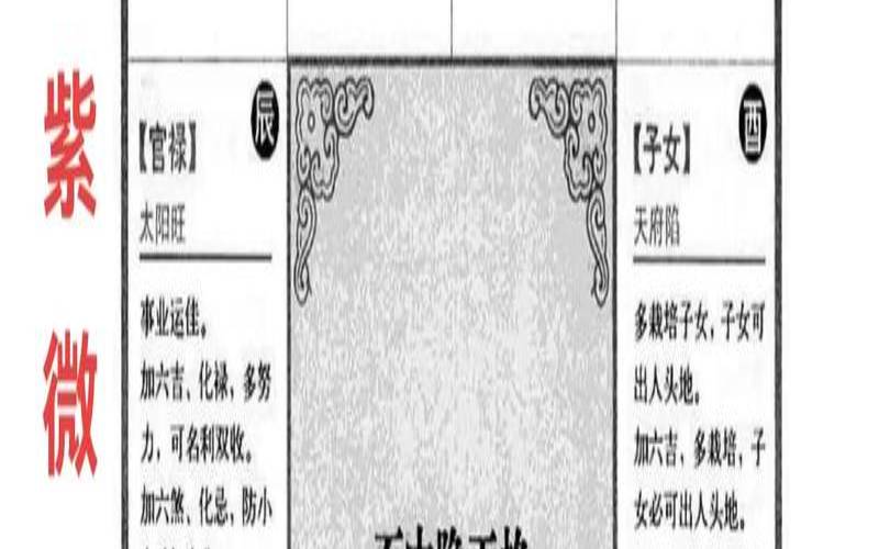 最痴情的紫微主星（紫微星懒癌的精神痛苦根源）